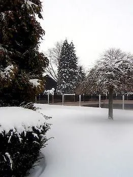 Roannay - 4* Francorchamps